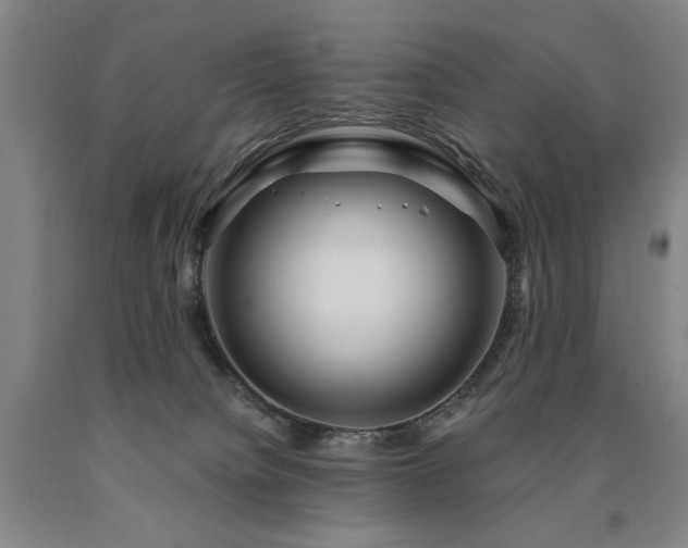 X0000090910084200707301443