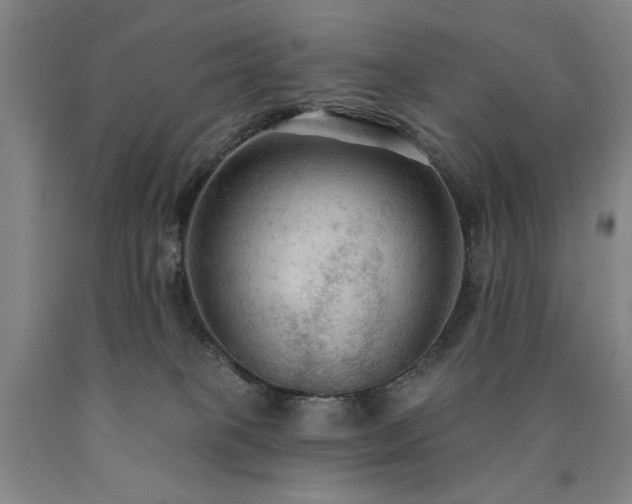 X0000090910085200707301443