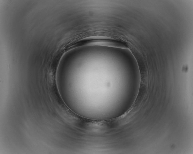 X0000090910086200707301443