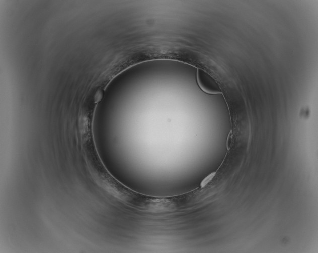 X0000090910087200707301443