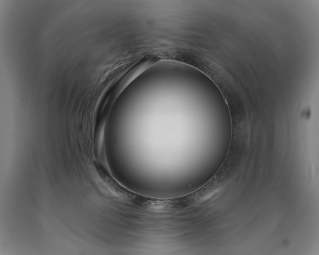 X0000090910088200707301443