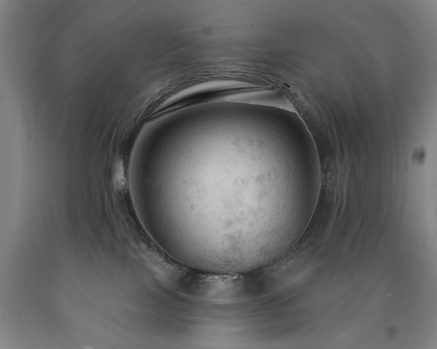 X0000090910089200707301443