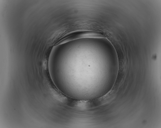 X0000090910090200707301443