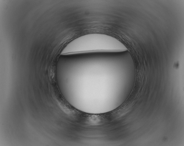 X0000090910091200707301443