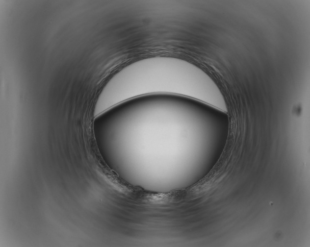 X0000090910092200707301443