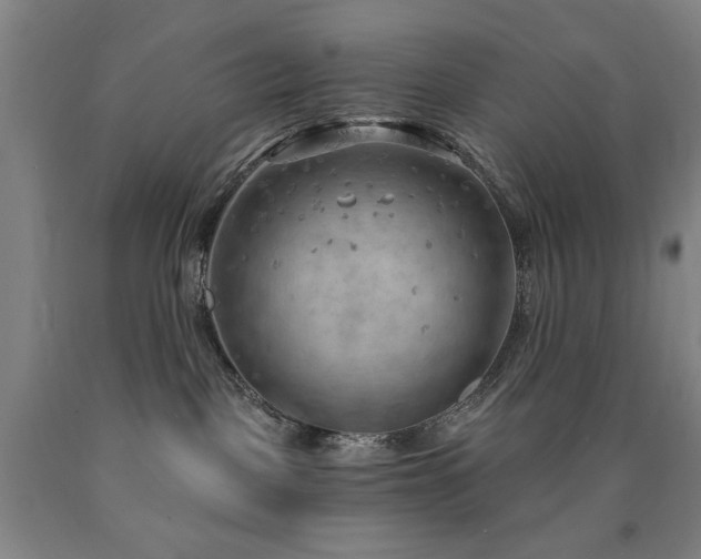 X0000090910093200707301443