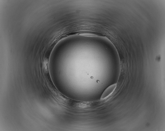 X0000090910094200707301443