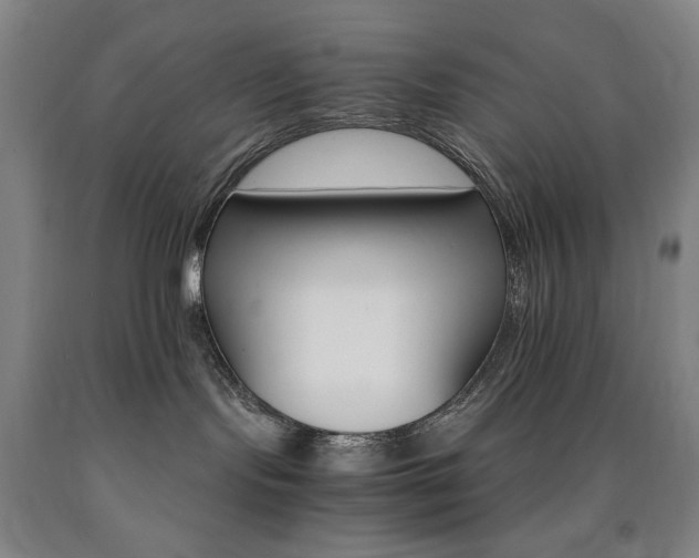 X0000090910095200707301443