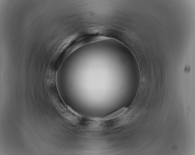 X0000090910096200707301443