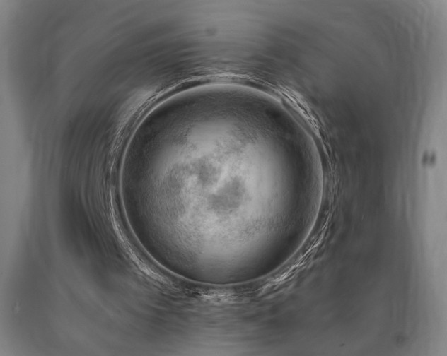 X0000090910097200707301442