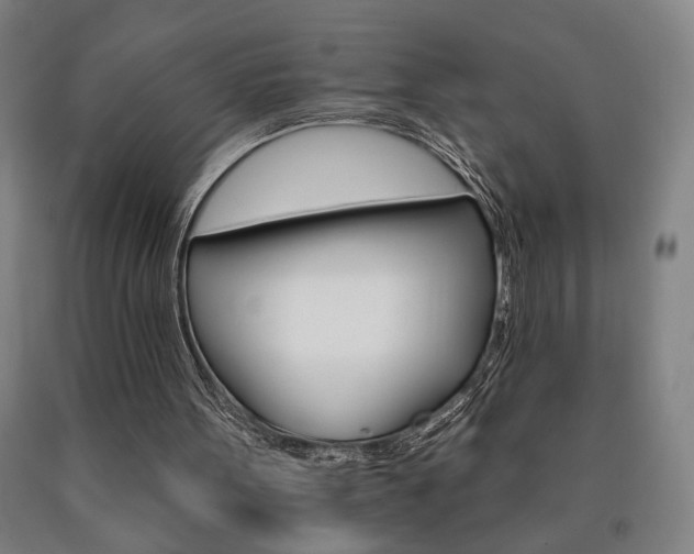 X0000090910099200707301442