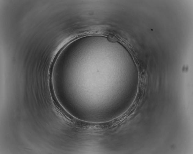 X0000090910100200707301442