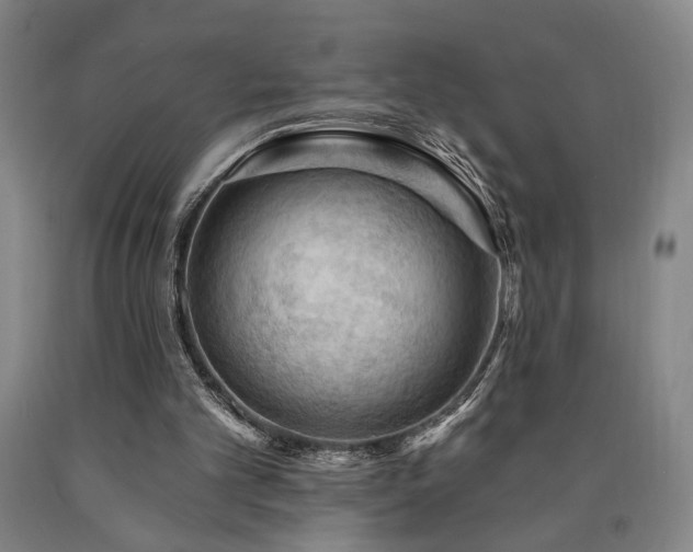 X0000090910101200707301442