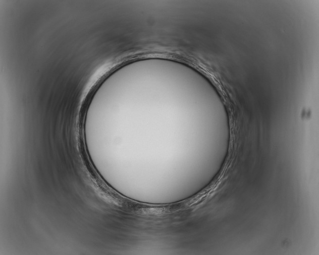 X0000090910102200707301442