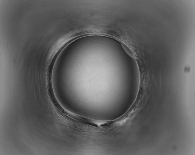 X0000090910103200707301442