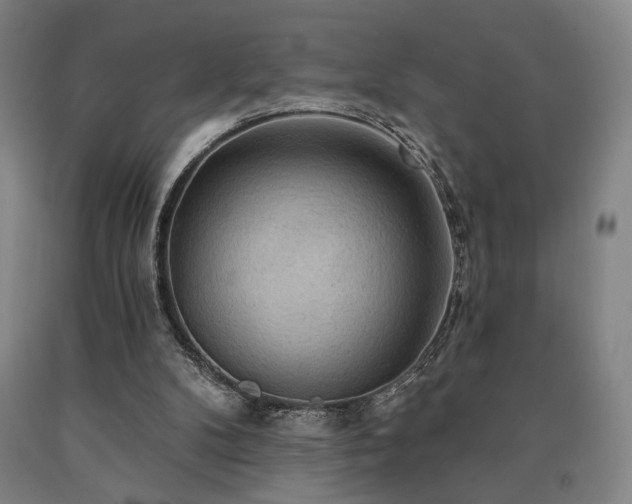 X0000090910104200707301442