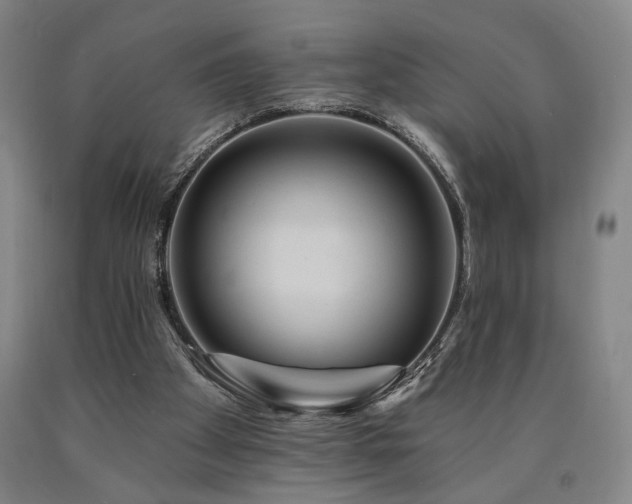 X0000090910105200707301442