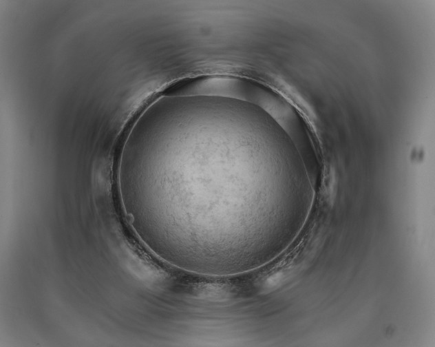 X0000090910107200707301442