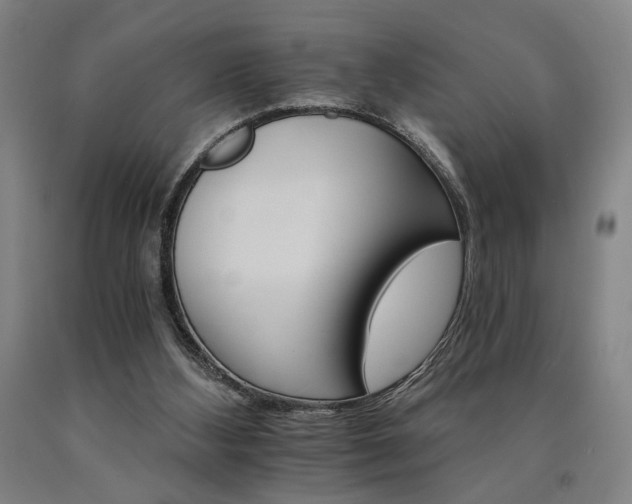 X0000090910108200707301442