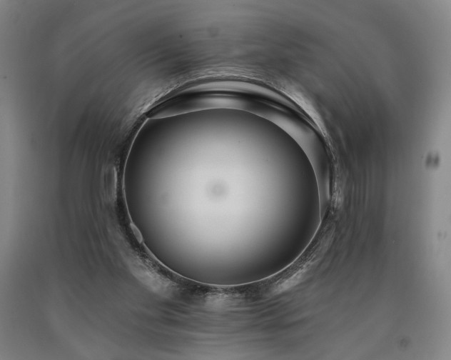 X0000090910109200707301442