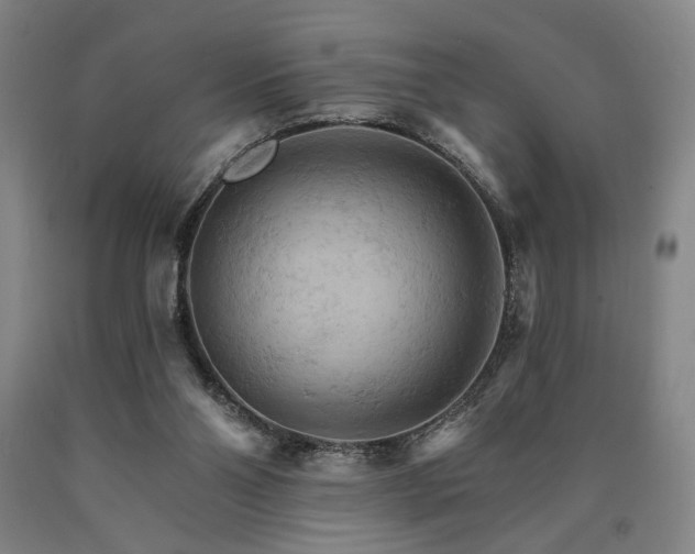 X0000090910110200707301442