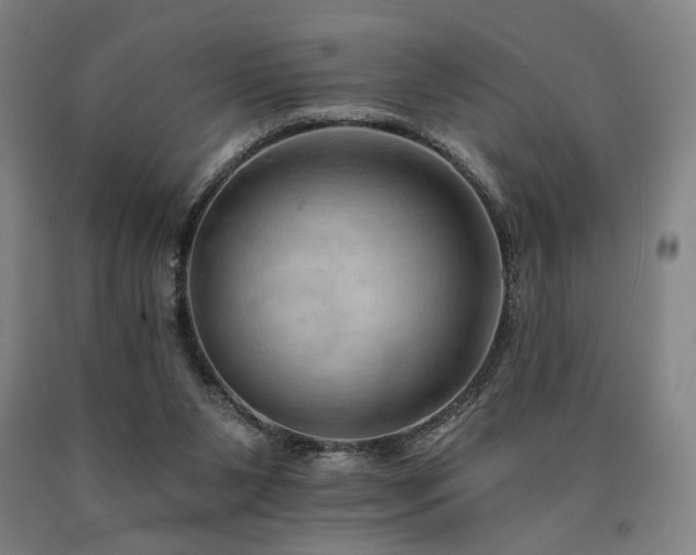 X0000090910111200707301442