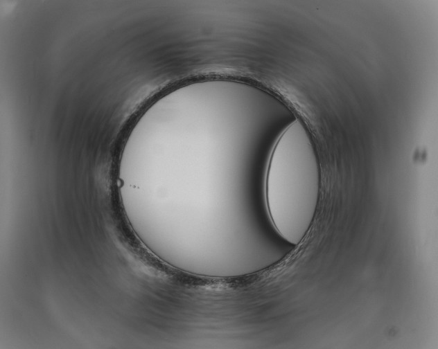 X0000090910112200707301442