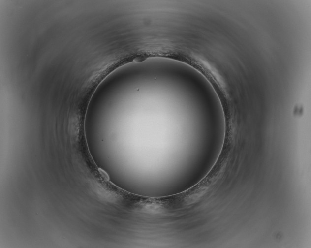 X0000090910113200707301442