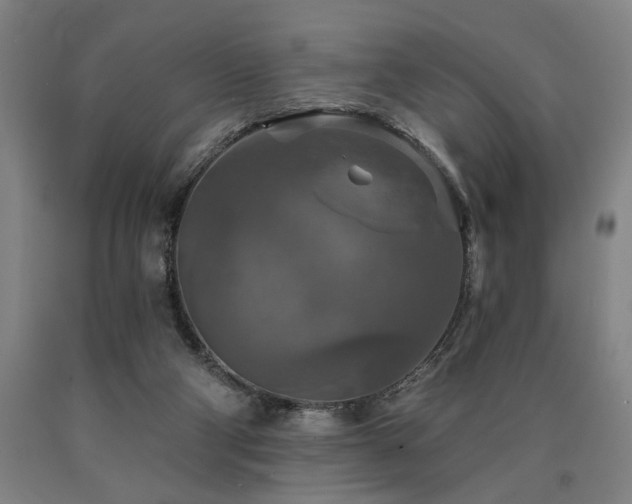 X0000090910114200707301442