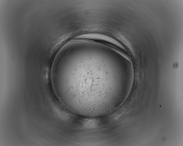 X0000090910115200707301442