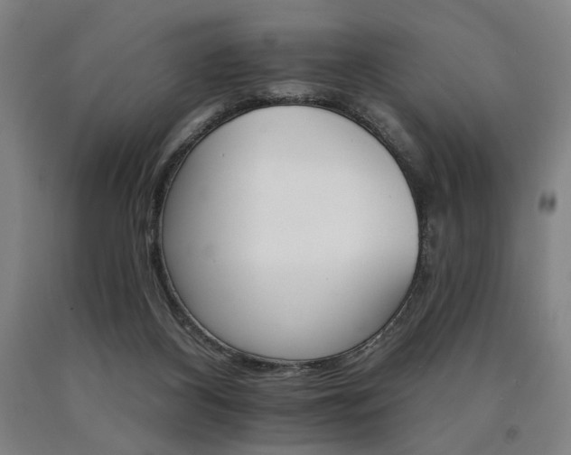 X0000090910116200707301442