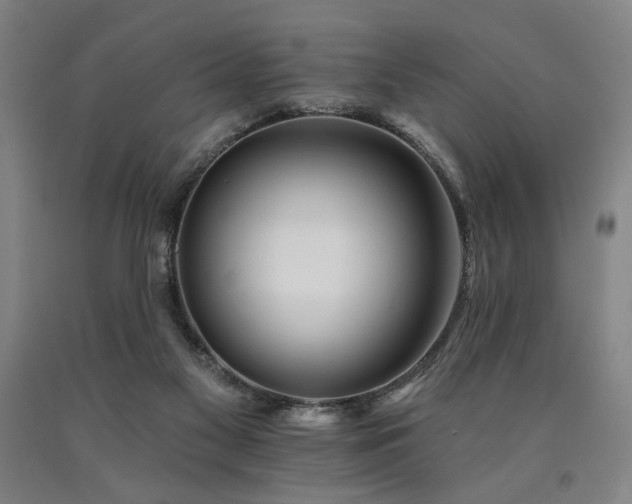 X0000090910117200707301442