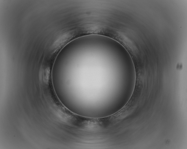 X0000090910118200707301442