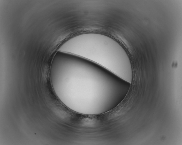 X0000090910119200707301442