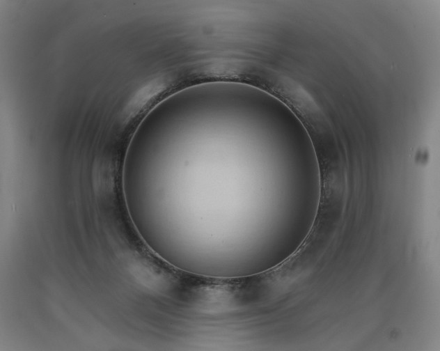 X0000090910120200707301442