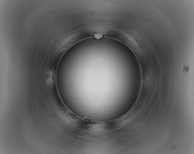 X0000090910122200707301442