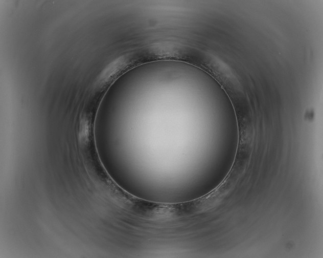 X0000090910124200707301442