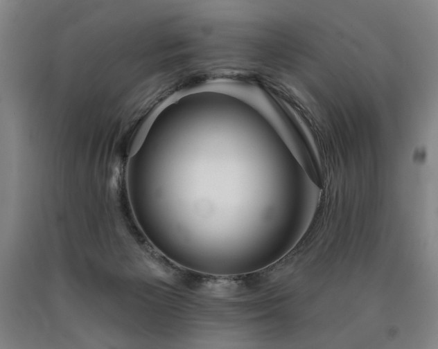 X0000090910125200707301442