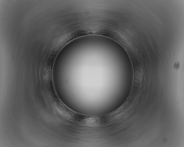 X0000090910126200707301442