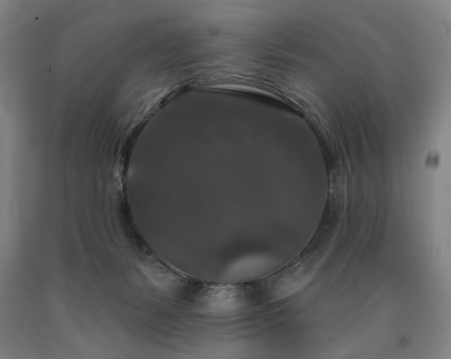 X0000090910127200707301442