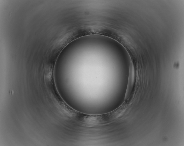 X0000090910129200707301442