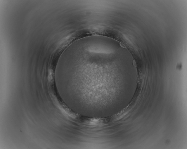 X0000090910130200707301442