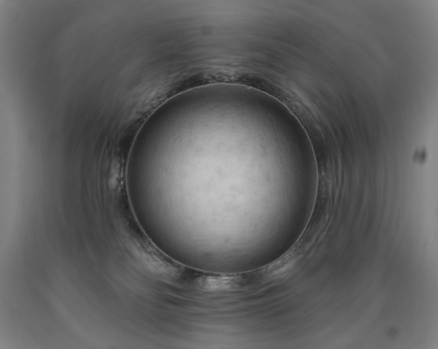 X0000090910134200707301442