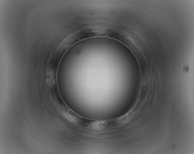 X0000090910136200707301442