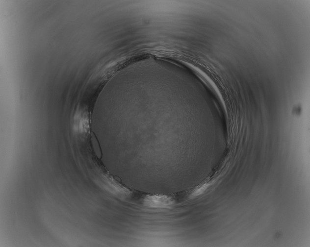 X0000090910137200707301442