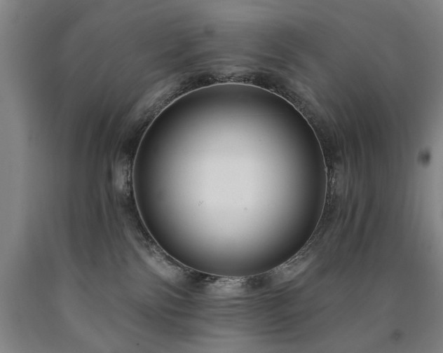 X0000090910138200707301442