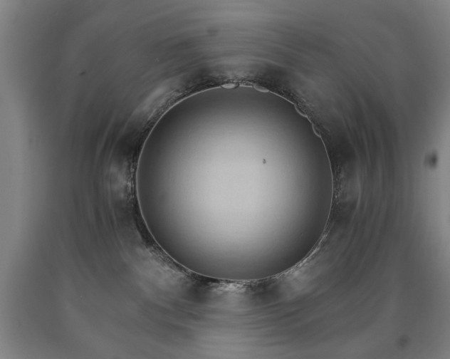 X0000090910140200707301442