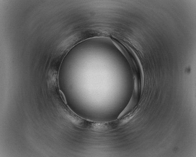 X0000090910141200707301442