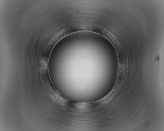 X0000090910142200707301442