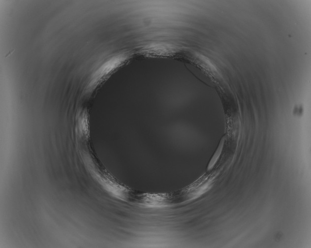 X0000090910143200707301442